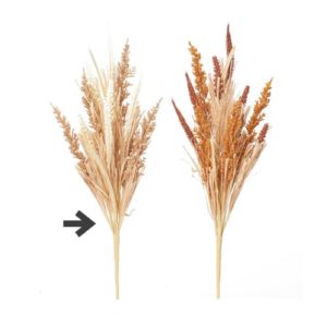 Ａ－４７９６５　グラスブッシュ #011B ｸﾘｰﾑﾌﾞﾗｳﾝ