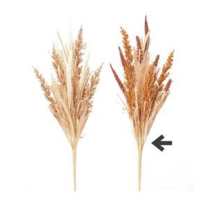 Ａ－４７９６５　グラスブッシュ #028O ﾌﾞﾗｳﾝｵﾚﾝｼﾞ