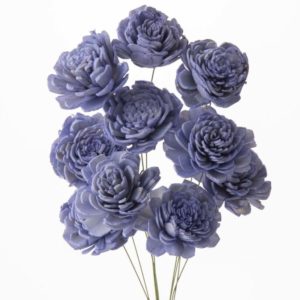 ソーラーローズ　小　ダスティーブルー