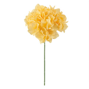 FM025048 104 アリスハイドレンジア ＃１０４　ＨＯＮＥＹ