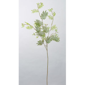 Ａ－４３６９９　ミモザリーフスプ #052B ﾗｲﾄｸﾞﾘ-ﾝ