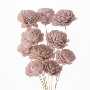 ソーラーローズ　小　ミスティーローズ