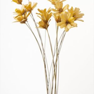 プチフラワー　クリーム