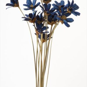 プチフラワー　ブルー