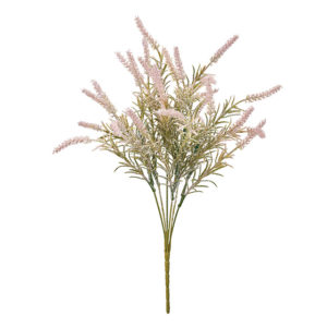 FM000809 002 ニュアンスフォックステールブッシュ ＃２　　ＰＫ／ＧＲ