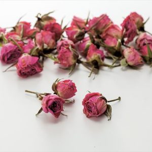 ミニバラ・ドライ・ヘッド　ピンク