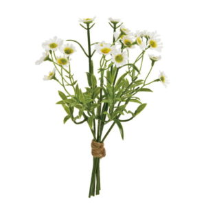 FM008353 プリムカモミールバンドル ＷＨＩＴＥ