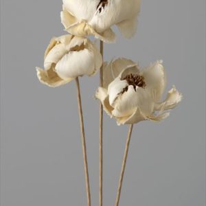 パームフラワー　白