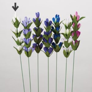 Ａ－３４２６２　リンドウ #001 ﾎﾜｲﾄ