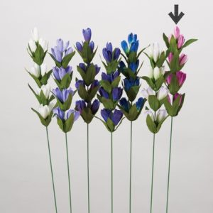 Ａ－３４２６２　リンドウ #026 ﾌｯｼｬ