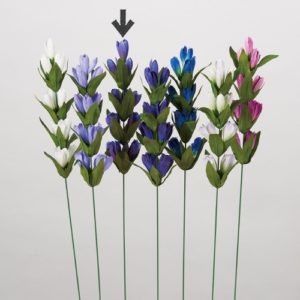 Ａ－３４２６２　リンドウ #007 ﾊﾟ-ﾌﾟﾙ