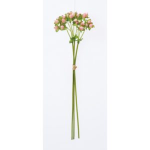 Ａ－４７９８２　ヒペリカムバンチ #003 ﾋﾟﾝｸ