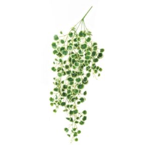 Ａ－４３１３５　ユキノシタブッシ #051V ｳﾞｧﾘｹﾞｲﾄｸﾞﾘ-ﾝ