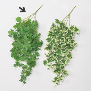 Ａ－４３６２８　ゼラニウムハンギ #051V ｳﾞｧﾘｹﾞｲﾄｸﾞﾘ-ﾝ