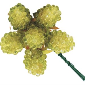 ピュアラズベリー　グリーン