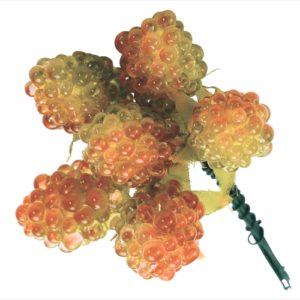 ピュアラズベリー　グリーン／レッド