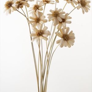 マーガレットフラワー　白