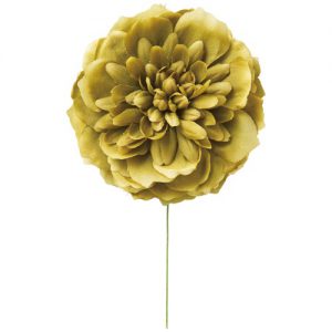 リルダリヤ　ＭＯＩ－１０４ ﾏｯﾁｬ　特価