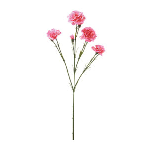 ＶＥ－６８１８　カーネーションス PI