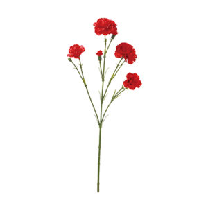 ＶＥ－６８１８　カーネーションス RE