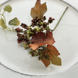 ベリーピック　特価