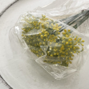 デイルピックラベンダー6本入り　イエロー特価