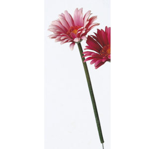 A-36105　003　ガーベラピンク