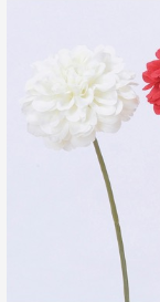 Ａ－７３２９５　ダリアピック #001 ホワイト