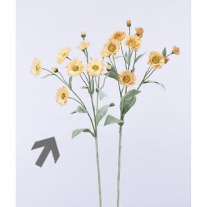 Ａ－３３７７１　フェリシアデージ #008 ﾍﾞ-ｼﾞｭ