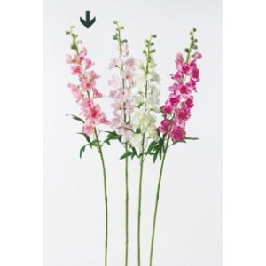 Ａ－３９５８８　デルフィニウム #003 ﾋﾟﾝｸ