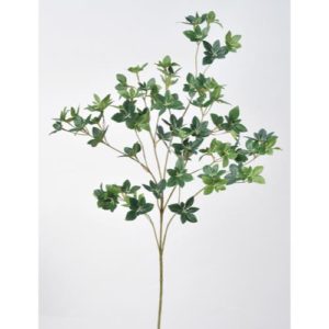 Ａ－４３３３３　ドウダン　Ｓ #051A ｸﾞﾘ-ﾝ