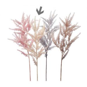 Ａ－４３４７８　アマランサス #008 ﾍﾞ-ｼﾞｭ