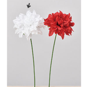 Ａ－７３３４０　ダリアピック #001 ﾎﾜｲﾄ