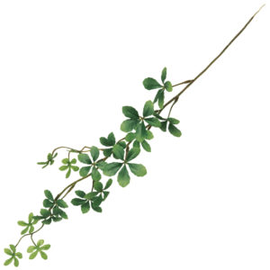 FG9895 フロストシュガーバイン ＦＲ．ＧＲ