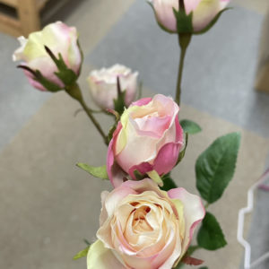 FM6235　046　ラヴィッサロー＃46　CR/PK