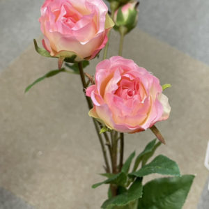 FM6235　002　ラヴィッサロー＃2　LTPK