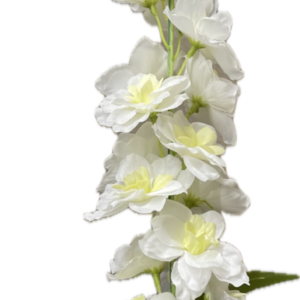 FM6032　001フローラデルフィニウム＃1　CR/WH