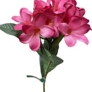 FM6441　053　ブリーズプルメリア＃53　BEAUTY