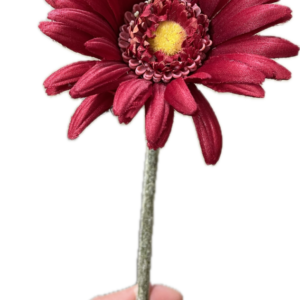 A-36105　002　ガーベラ　レッド