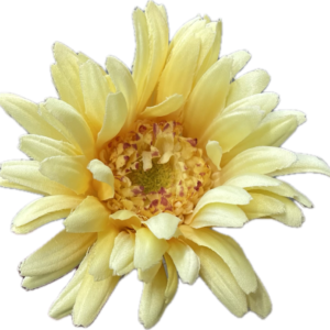 A-36105　010　ガーベライエロー