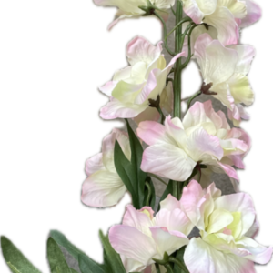 A-39511　013　デルフィニウム　クリームピンク