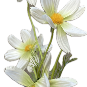 A-31953-52　コスモス×5ホワイトグリーン