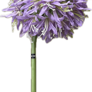 ラベンダー色　フラワー