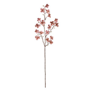 花みずきベルべ ＃１４２　ＤＫＭＶ