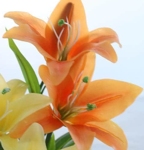 ＦＭ1422　ロゼットリリー　＃9ORANGE