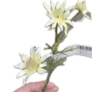 FM23070　004　フランネルショート