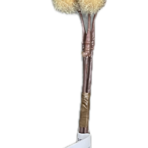 PFD-06 Marimo カフェ