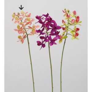 Ａ－３４５８２　ミニオーキッド× #004G ﾋﾟ-ﾁｸﾞﾘ-ﾝ