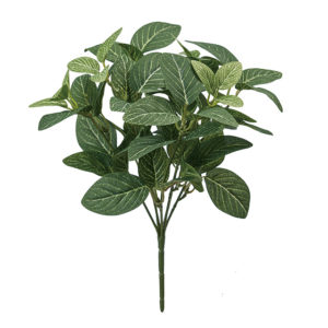 FG096331 フィットニアブッシュ ＧＲＥＥＮ