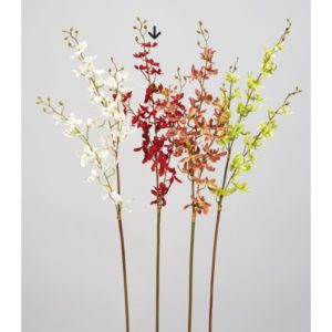 Ａ－３４５４５　ミニオーキッド× #002 ﾚｯﾄﾞ